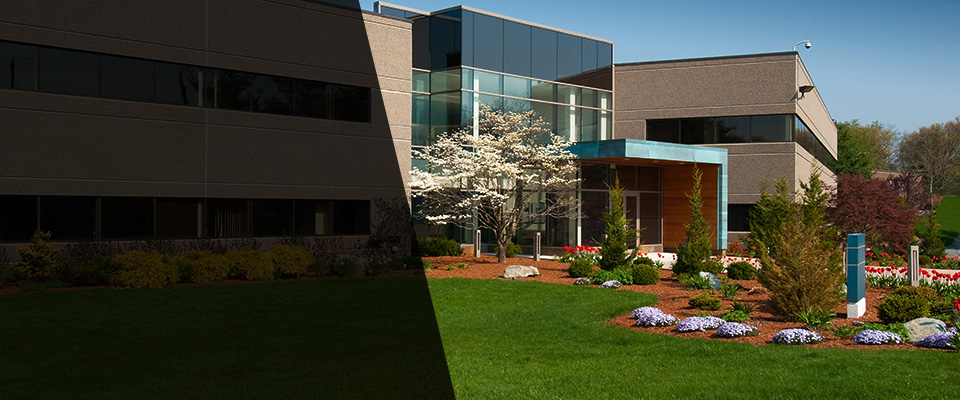 Westland Landscapers