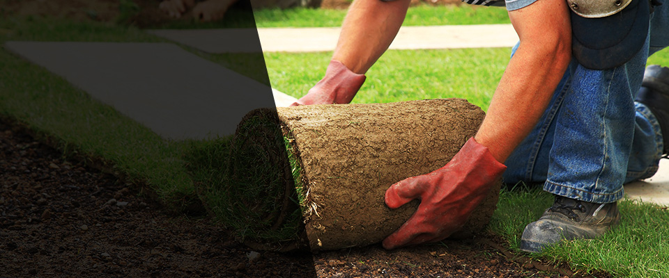 Westland Landscapers